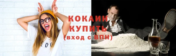 шишки Надым