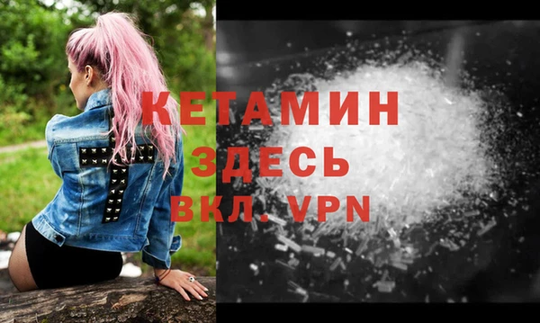 шишки Надым