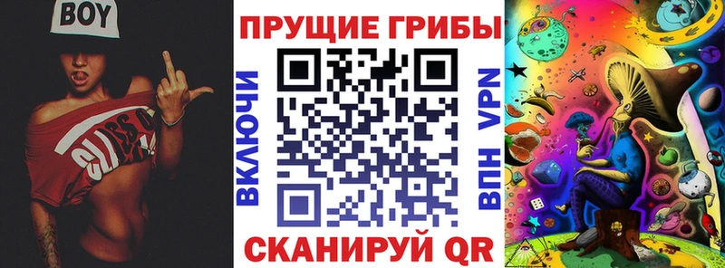 Псилоцибиновые грибы мухоморы  мега маркетплейс  Барнаул  наркошоп 